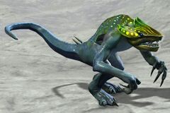 Alpine Skelk.jpg