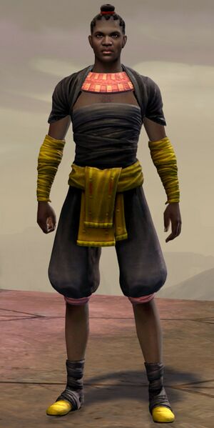 File:Baasim.jpg