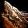 Experimental Horn.png