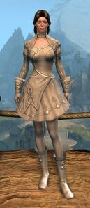 Appearance on light armor.