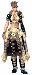 Havroun armor norn female front.jpg
