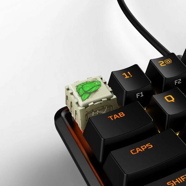 File:HyperX Siege Turtle.jpg