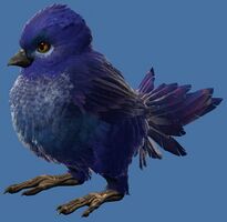 Mini Blue Cuckoo Hatchling.jpg