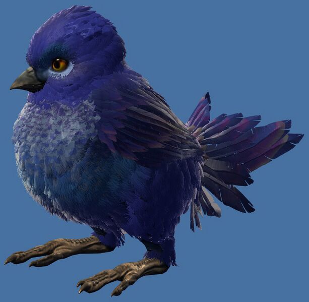 File:Mini Blue Cuckoo Hatchling.jpg
