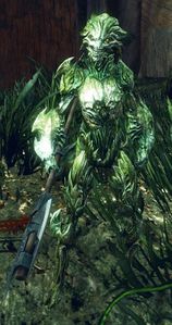 Mordrem Guard Entangler.jpg