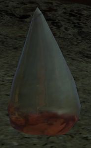 Old Colocal Tooth.jpg