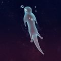 Otter.