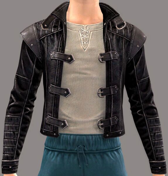 File:Rebel Jacket.jpg