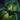 Skyscale of Growth.png
