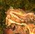 Tangled Depths Hidden Chest 21.jpg