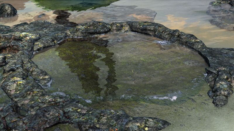 File:Tide Pool.jpg