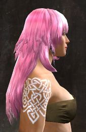 Unique norn female hair side 10.jpg