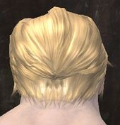 Unique norn male hair back 9.jpg