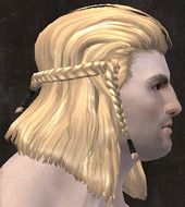 Unique norn male hair side 6.jpg