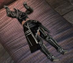 Wounded Crusader.jpg