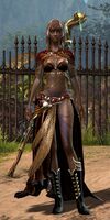 Bandit Battlemage female 2.jpg