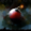 Bomb (bundle skill)