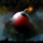 Bomb (bundle skill).png