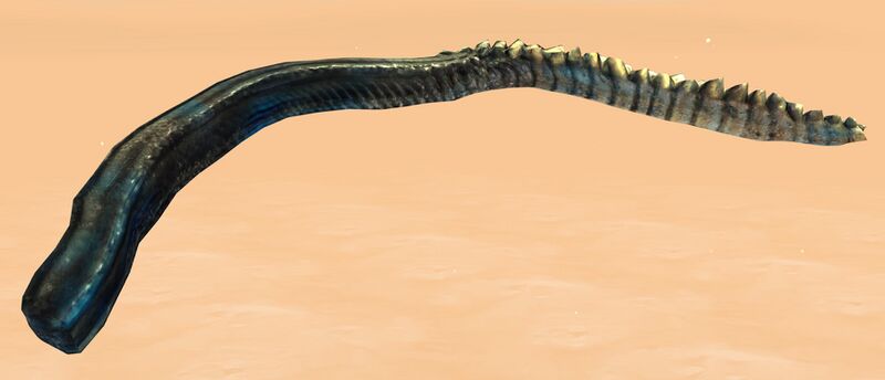 File:Gorseval Tentacle.jpg