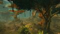 Infested Thicket 2.jpg