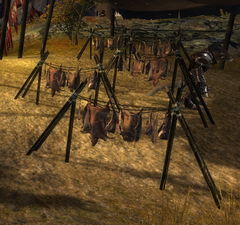 Meat Rack.jpg