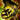 Mini Husk-o-Lantern.png