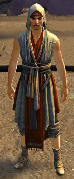 File:Silent Acolyte.jpg