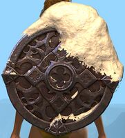Snowdrift Shield wielded.jpg