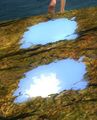 Thumbnail for version as of 09:07, 24 August 2014