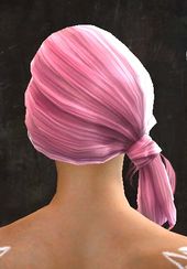 Unique norn female hair back 17.jpg