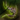 Zhaitan's Voice.png