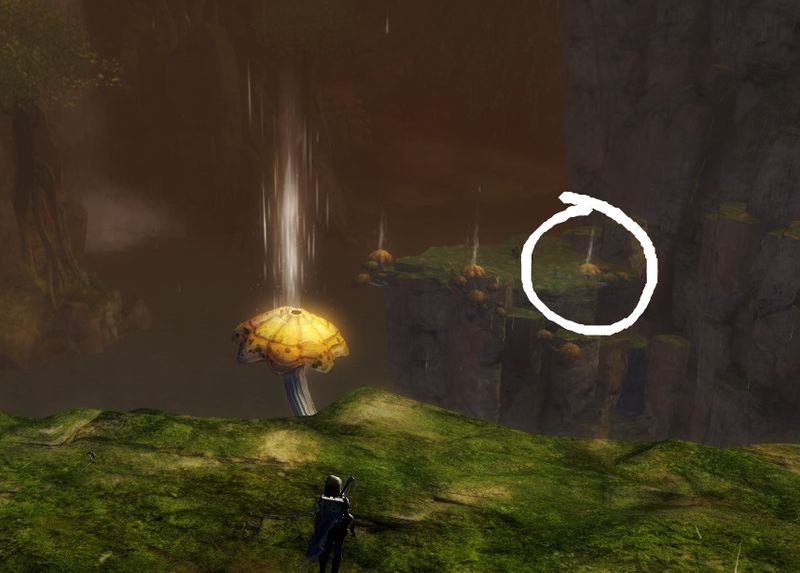 File:"Where's Balthazar" mushrooms 2.jpg