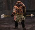 Brown Lowland Kodan (staff).jpg