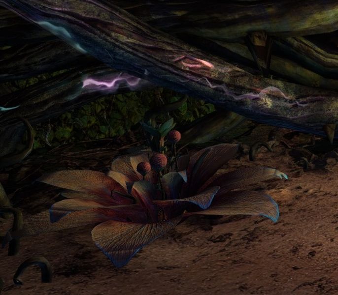 File:Cold Light plant 2.jpg
