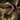 Conjurer Mask.png