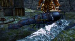 Experimental Weapon Parts.jpg