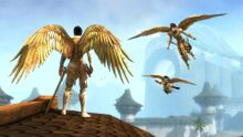Golden Feather Wings Glider Combo promo.jpg