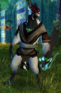 Kestrel Lorro.jpg