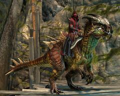 Order of Shadows (raptor).jpg