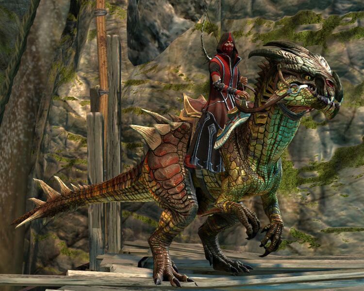 File:Order of Shadows (raptor).jpg