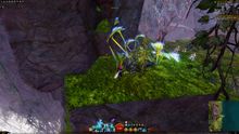 Skyscale Egg 16.jpg