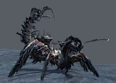 Spiketail Crawler.jpg