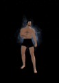 The Animation when weapons are first drawn (Click to view)
