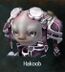 Hakoob