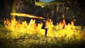 2010 August axe fire.jpg