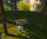 A New Friend - Bastion of Balance 2.jpg
