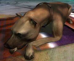Ancient Canine.jpg