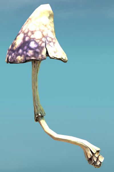 File:Crooked Mushroom.jpg