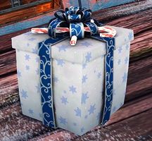 Endless Gift Box Tonic.jpg