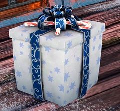 Endless Gift Box Tonic.jpg